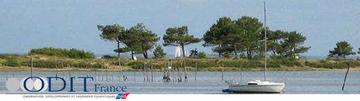 La fréquentation des sites et manifestations touristiques La fréquentation des sites et manifestations touristiques