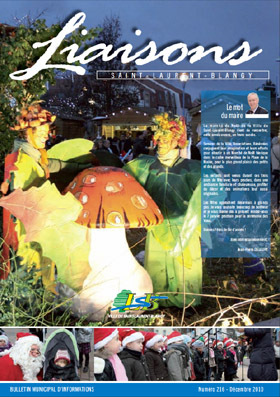 Bulletin municipal N°216 - décembre 2010