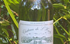 Bordeaux - Blanc sec