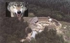 PARC ANIMALIER