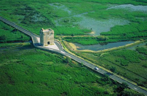 Saint-Laurent-d'Aigouze (Gard) Région: Languedoc-Roussillon