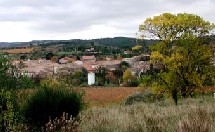 VIN DES CORBIERES.