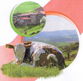 Marché aux veaux de Saint-Laurent-de-Chamousset Marché aux veaux de Saint-Laurent-de-Chamousset