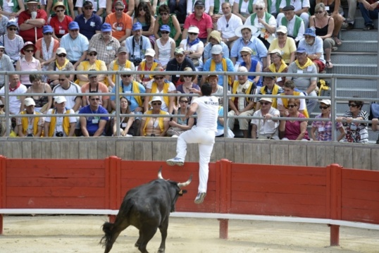 Course camarguaise.