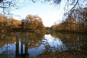 Etang en Sologne