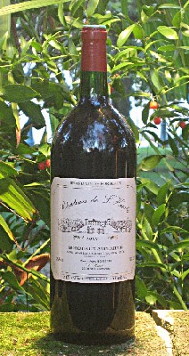 Saint-Laurent-d'Arce - Gironde. Saint-Laurent-d'Arce - Gironde.